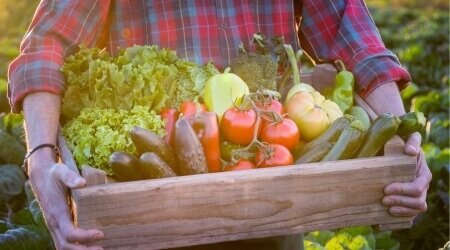 Carré Box fruits et légumes de saison